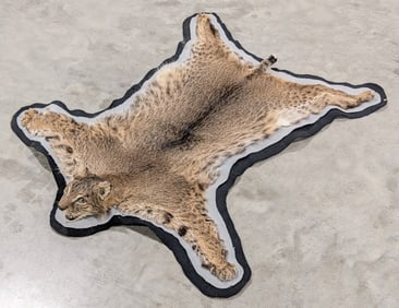 Vtg Bobcat Pelt Rug Taxidermy