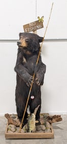 Fishing Black Bear Full Body Taxidermy Mount on Habitat Base w/ Crappie