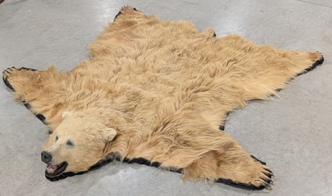 XXXL SUPER RARE Blonde Kodiak Bear Taxidermy Rug by Jonas Bros