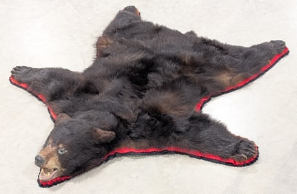 Black Bear Pelt Rug Taxidermy