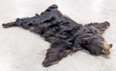Vtg Black Bear Hide Rug 4.5ft x 5.5ft