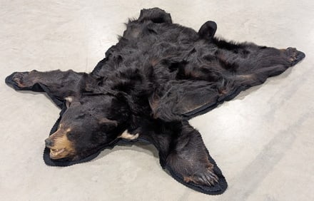 Black Bear Pelt Rug Taxidermy