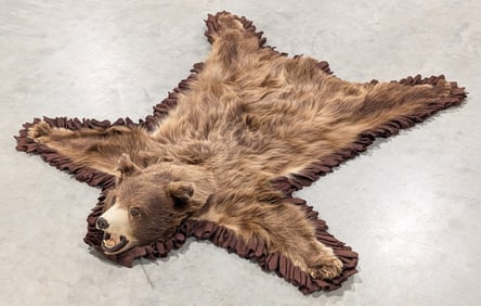 Small Brown Bear Pelt Rug Taxidermy