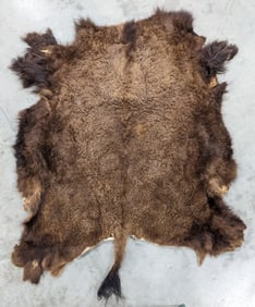 Tanned American Bison Taxidermy Hide Rug