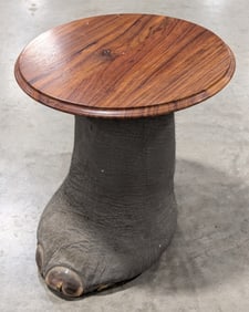 Elephants Foot Taxidermy End Table *US RESIDENTS ONLY*