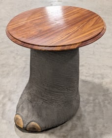 Elephants Foot Taxidermy End Table *US RESIDENTS ONLY*