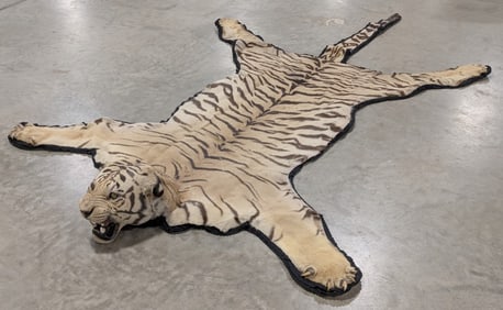 ULTRA RARE White Tiger Rug Taxidermy by Van Ingen INDIANA RESIDENTS ONLY