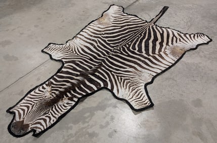 Large Zebra Hide Rug w/ Face & Tail
