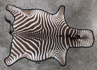 Vtg 8ft Zebra Hide Rug on Mat