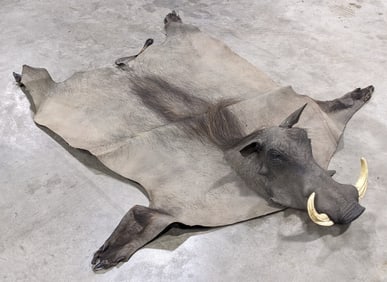 African Warthog Hide Rug