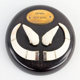 Espana Boar Tusk Display