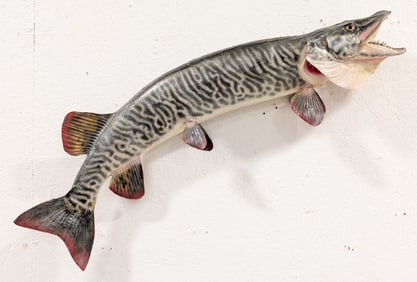 35in Fiberglass Tiger Musky Taxidermy Mount w/ COA
