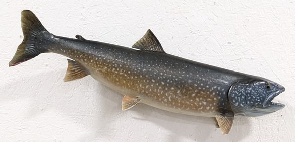 29in Fiberglass Full Body Lake Trout Taxidermy Mount