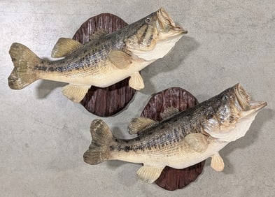 (2) Largemouth Bass Taxidermy Mounts on Plaques