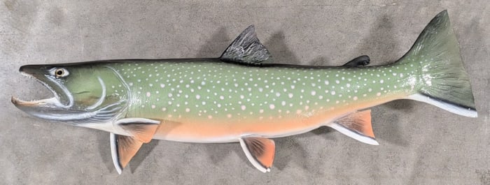Brook Trout Fiberglass Replica Taxidermy Mount
