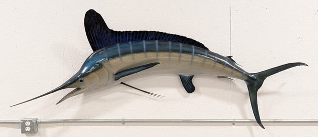 84in Atlantic White Marlin Fiberglass Full Body Taxidermy