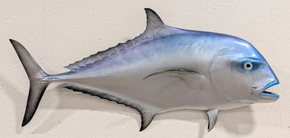Giant Trevally Fiberglass Taxidermy Mount
