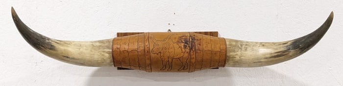 Longhorn Steer Horn Mount