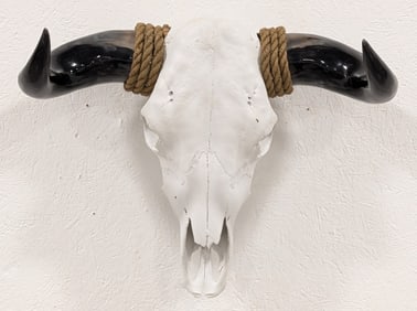 Bleached White Steer Skull & Polished Horn Mount