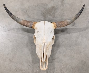 Vtg 6-1/2ft Longhorn Steer Leather Wrapped Horn Mount