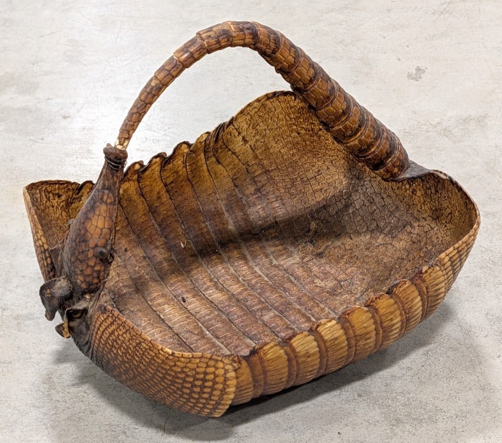 Armadillo Shell Basket Taxidermy: Basket is in nice aged condition with some light discoloration from age. Overall measures 12in wide x 9in long x 10in deep.? Ref #: 309