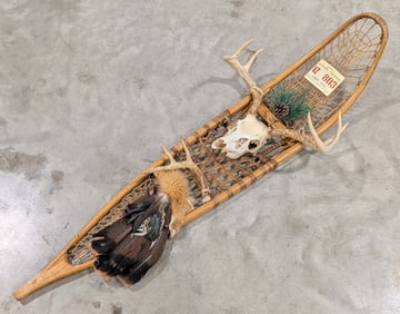 Vtg Snow Shoe Deer Skull & Antler Display