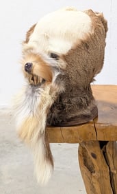 Mythical Skunk Ape Head Mount Creation