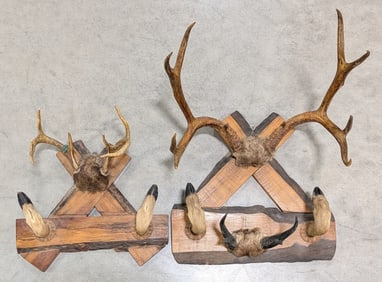 Deer Antler & Hoof Coat Racks