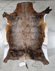 Tanned African Blesbok Antelope Taxidermy Hide
