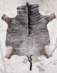 Tanned African Blue Wildebeest Taxidermy Hide w/ Tail