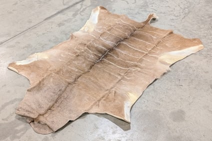 Tanned African Kudu Hide