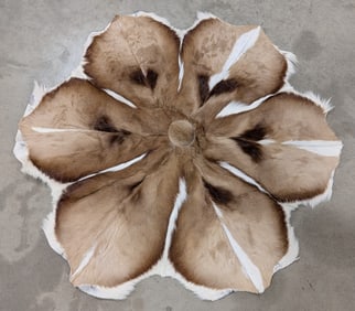 4ft African Springbok Hide Throw Rug