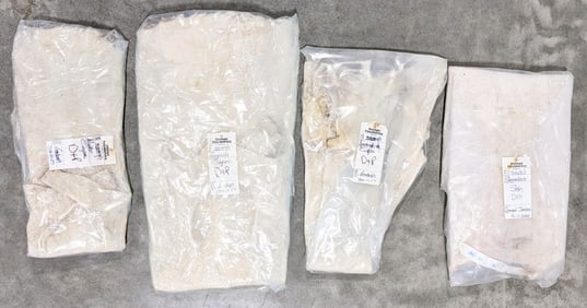 (4) Springbock, Impala, & Duiker Salt Dried Cape & Steenbock Skin