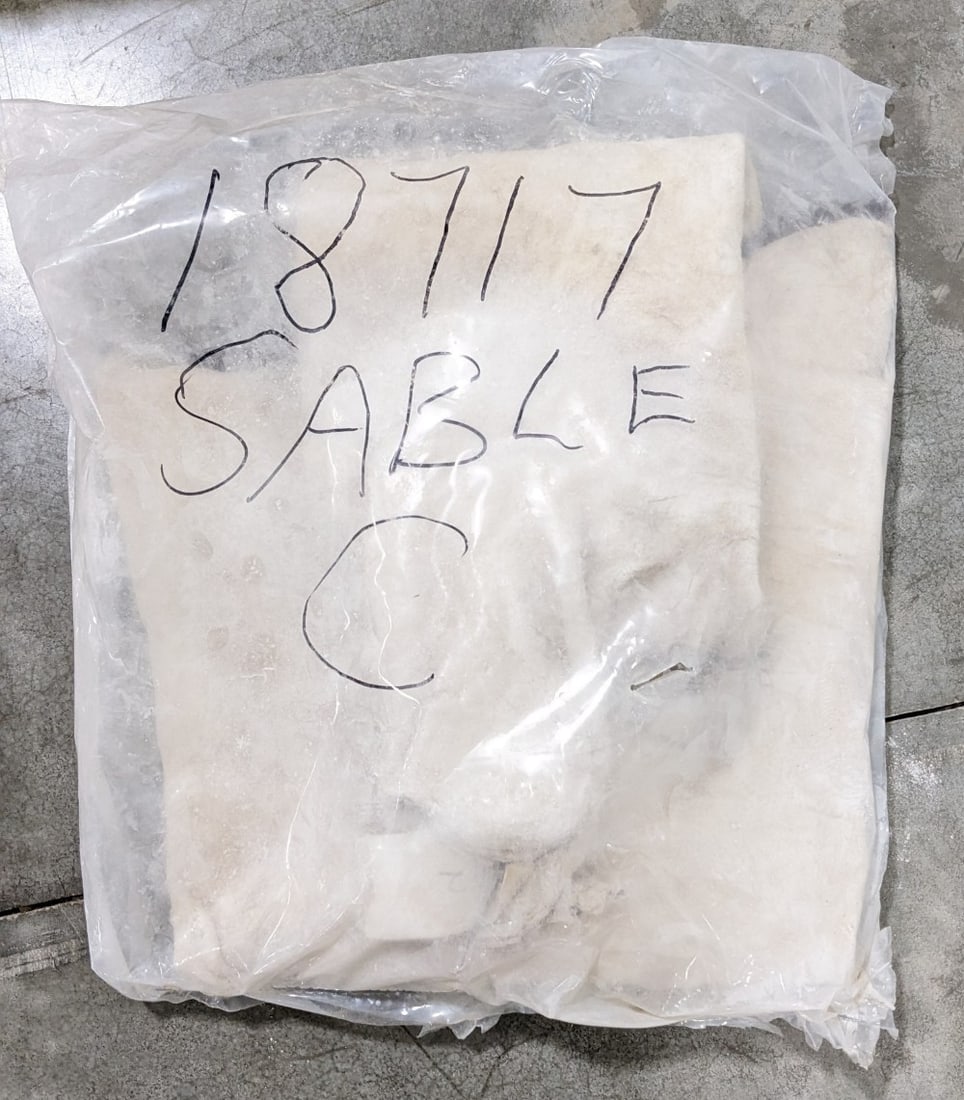 African Sable Salt Dried Cape: The cape has been salt dried and then sealed in a plastic bag for protection. The hide should be able to be softened and worked again. Ref #: 55