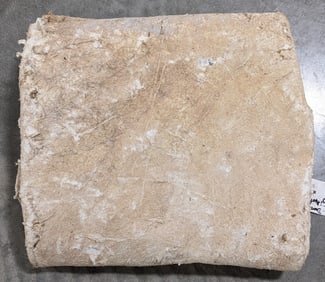 African Giraffe Salt Dried Hide