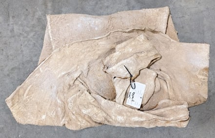 African Giraffe Salt Dried Cape