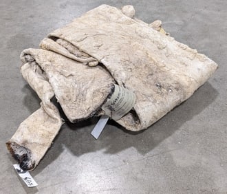 African Sable Salt Dried Taxidermy Cape