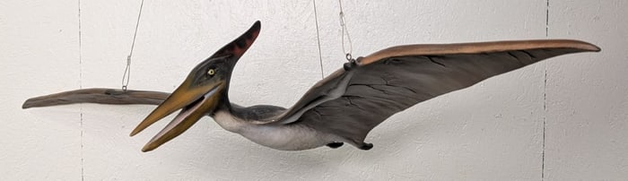 5ft Pterodactyl Dinosaur Fiberglass Ceiling Mount