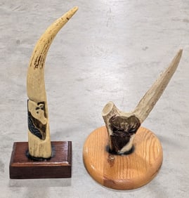 Carved Antlers on Plaque Displays