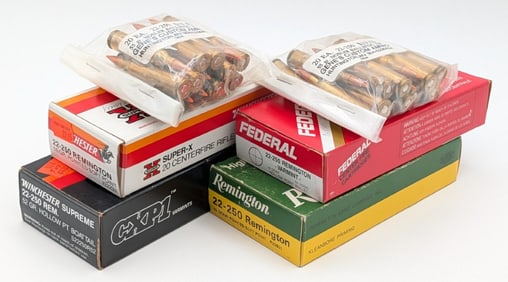 120 Rnds of Various Brands 22-250 REM Cartridges