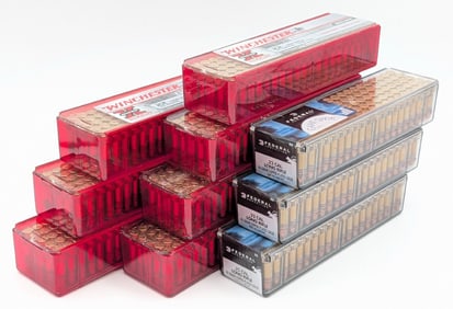 1000 Rnds of Various Brands 22 LR Cartridges