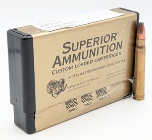 20 Rnds of Superior Ammunition 375 H&H 300gr NF SP
