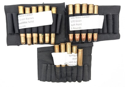 16 Rnds of Professionally Loaded 500 Nitro Caliber 570gr