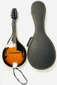 Kentucky Mandolin Saga Musical Instruments
