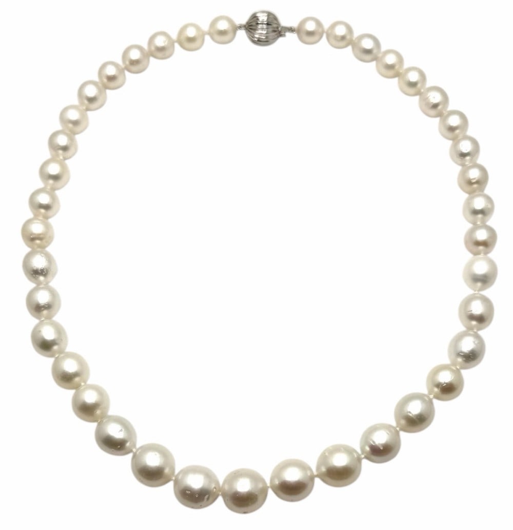 South Sea Pearl Necklace, 14k White Gold Clasp: South Sea Pearl Necklace. One graduated single strand Cultured South Sea Pearl Necklace. The strand has each pearl, 39, individually hand knotted and is finished with a 14K white gold plunger style te