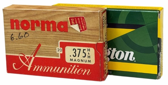 40 Rounds Remington & Norma .375 H&H Magnum Ammo