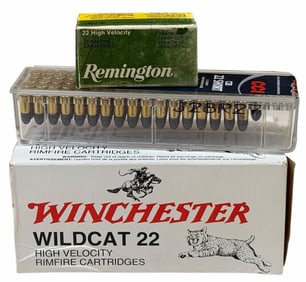 538 Rounds 22 Short, LR Ammo in boxes