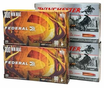 80 Rounds Winchester & Federal 300 Win Mag Rifle Rounds in Boxes