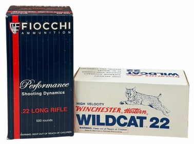 1000 Rounds 22 LR Winchester Wildcat & Fiocchi NIB