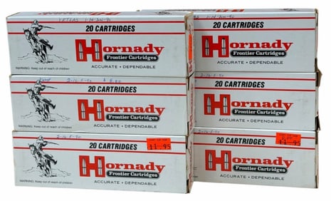 120 Rounds Hornady .10mm Auto FMJ in Boxes